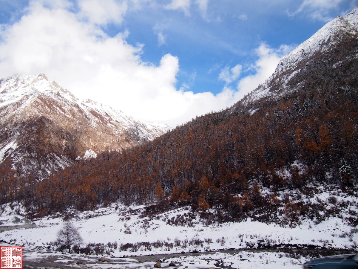 2024.11寻秋（31）