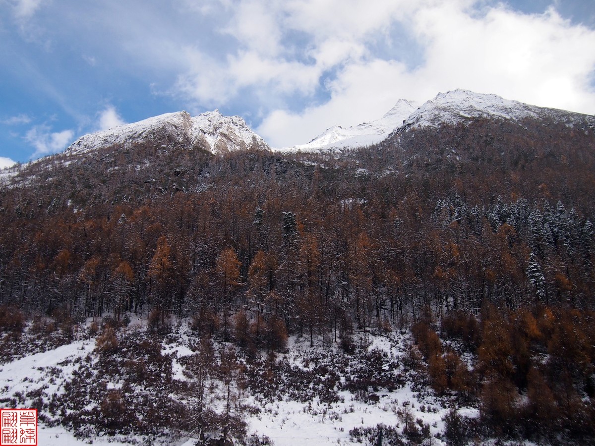 2024.11寻秋（31）