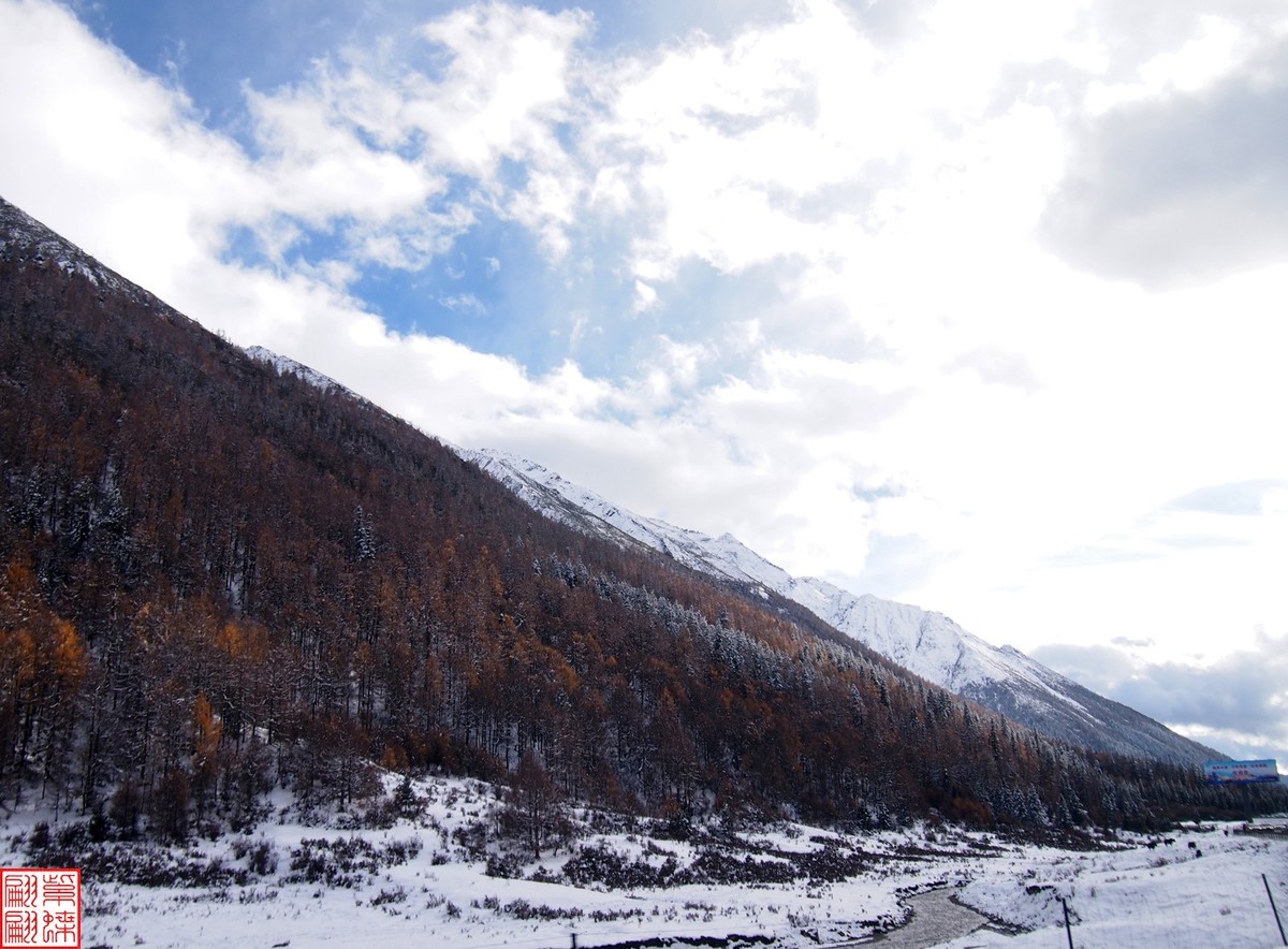 2024.11寻秋（31）