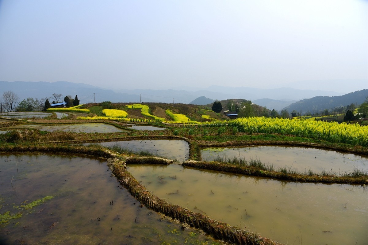 涂井乡万顺村2