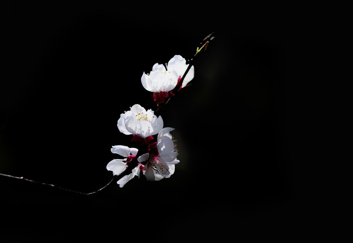 #版主坐堂#小五星空(中国)2022年5月精品荟萃