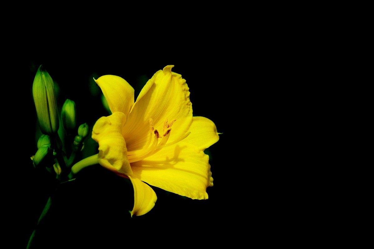 #版主坐堂#小五星空(中国)2022年5月精品荟萃