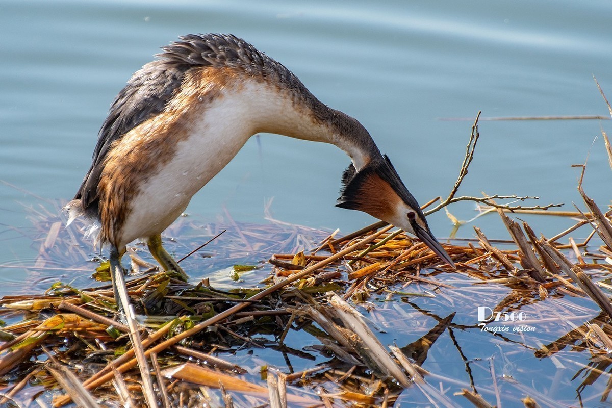 #版主坐堂#小五星空(中国)2022年5月精品荟萃