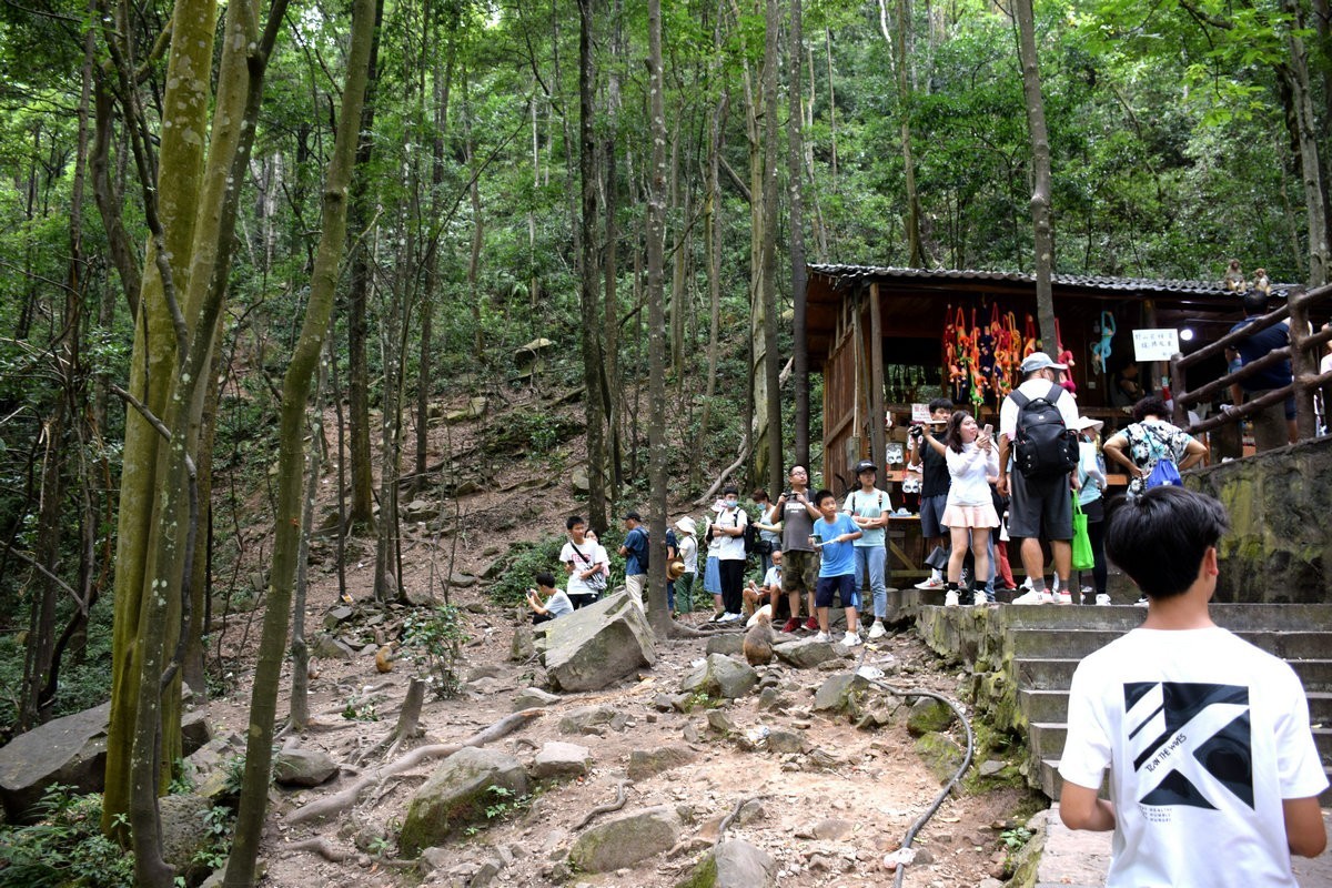 2022夏 湘赣边（67）“三女峰”左“猴子坡”