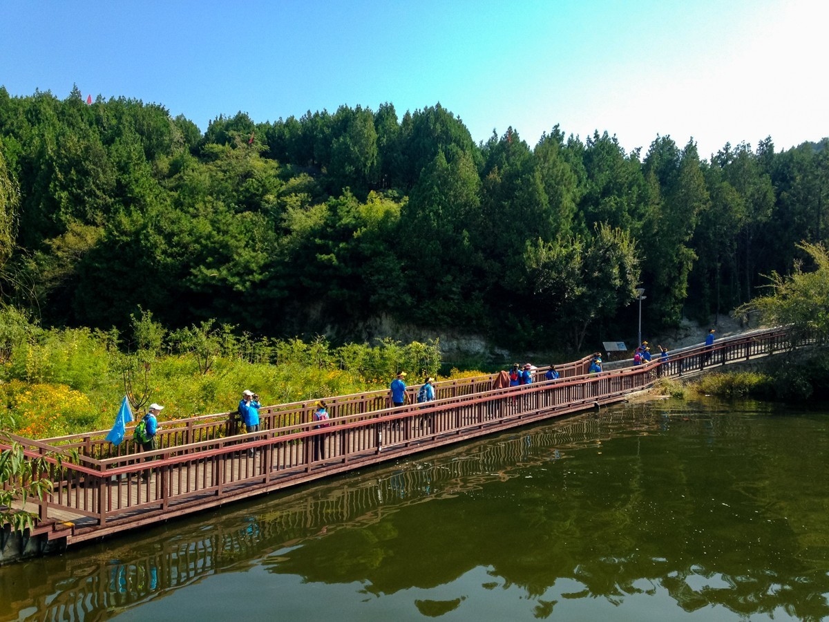 2023年-北京雁栖湖抓拍-139