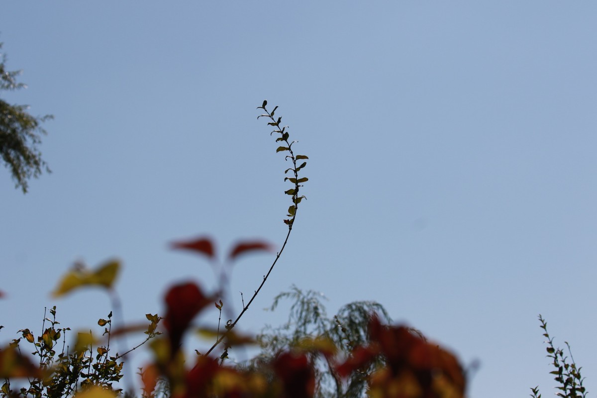 公园中的游客小息