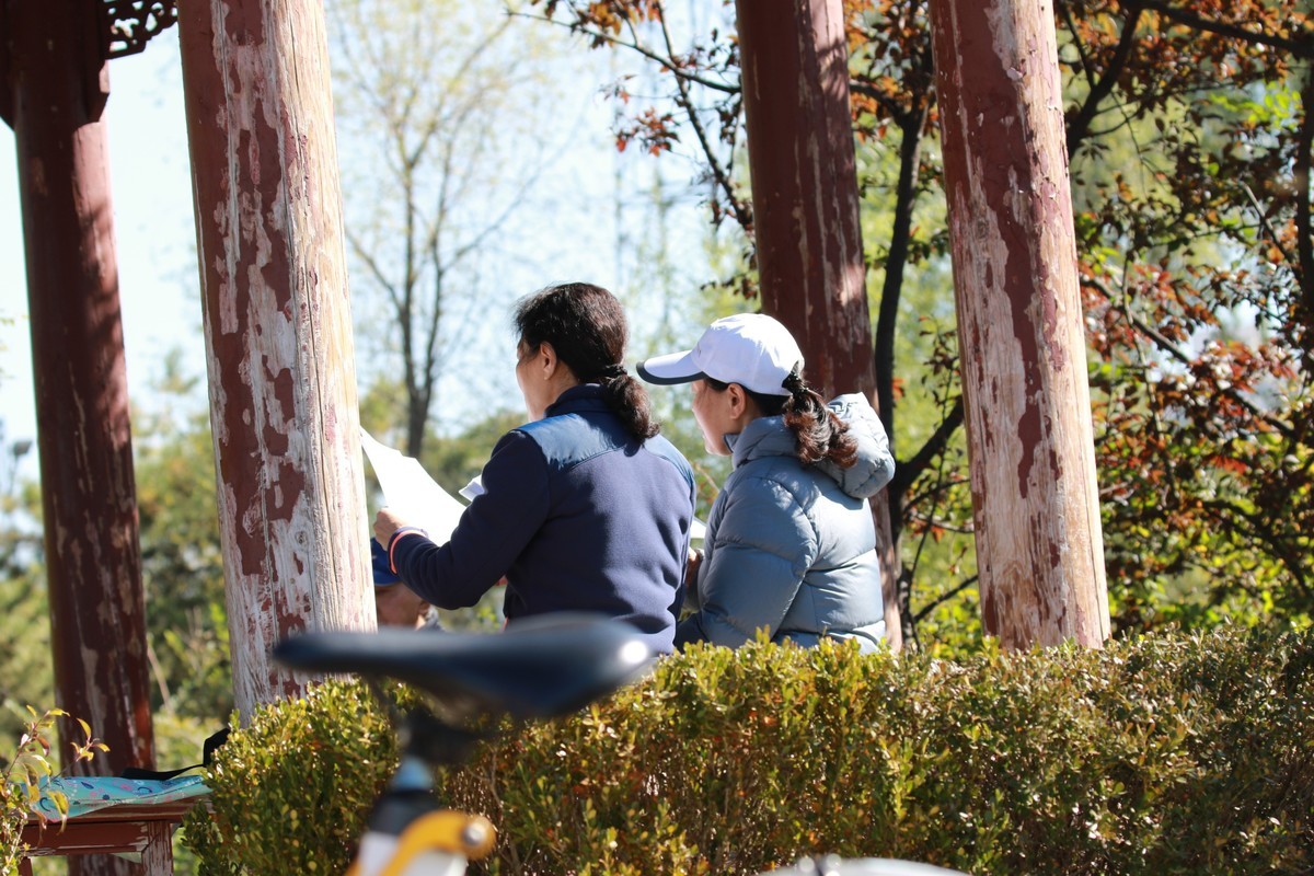 公园中的游客小息