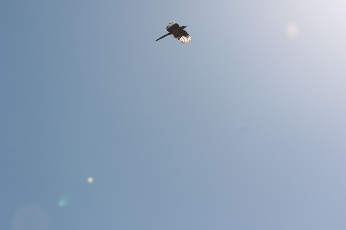 公园中的游客小息