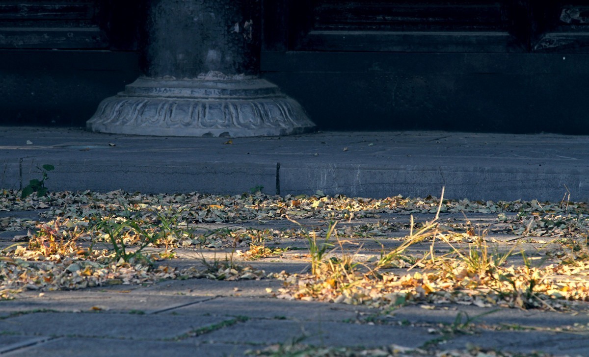 合肥-老城区的文庙