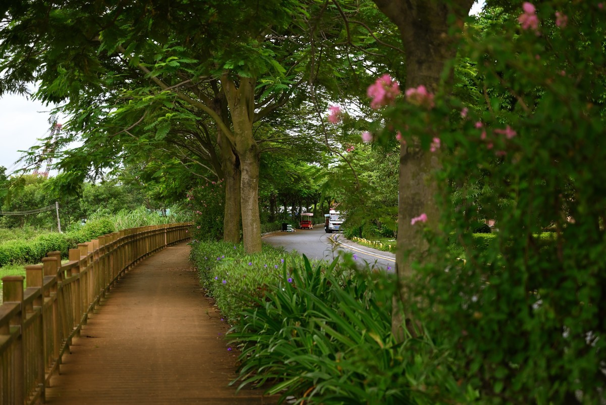 刚入的Z5随拍几张来这留个痕迹