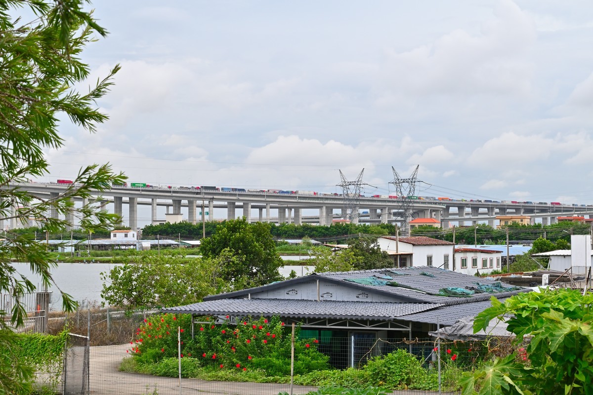 刚入的Z5随拍几张来这留个痕迹