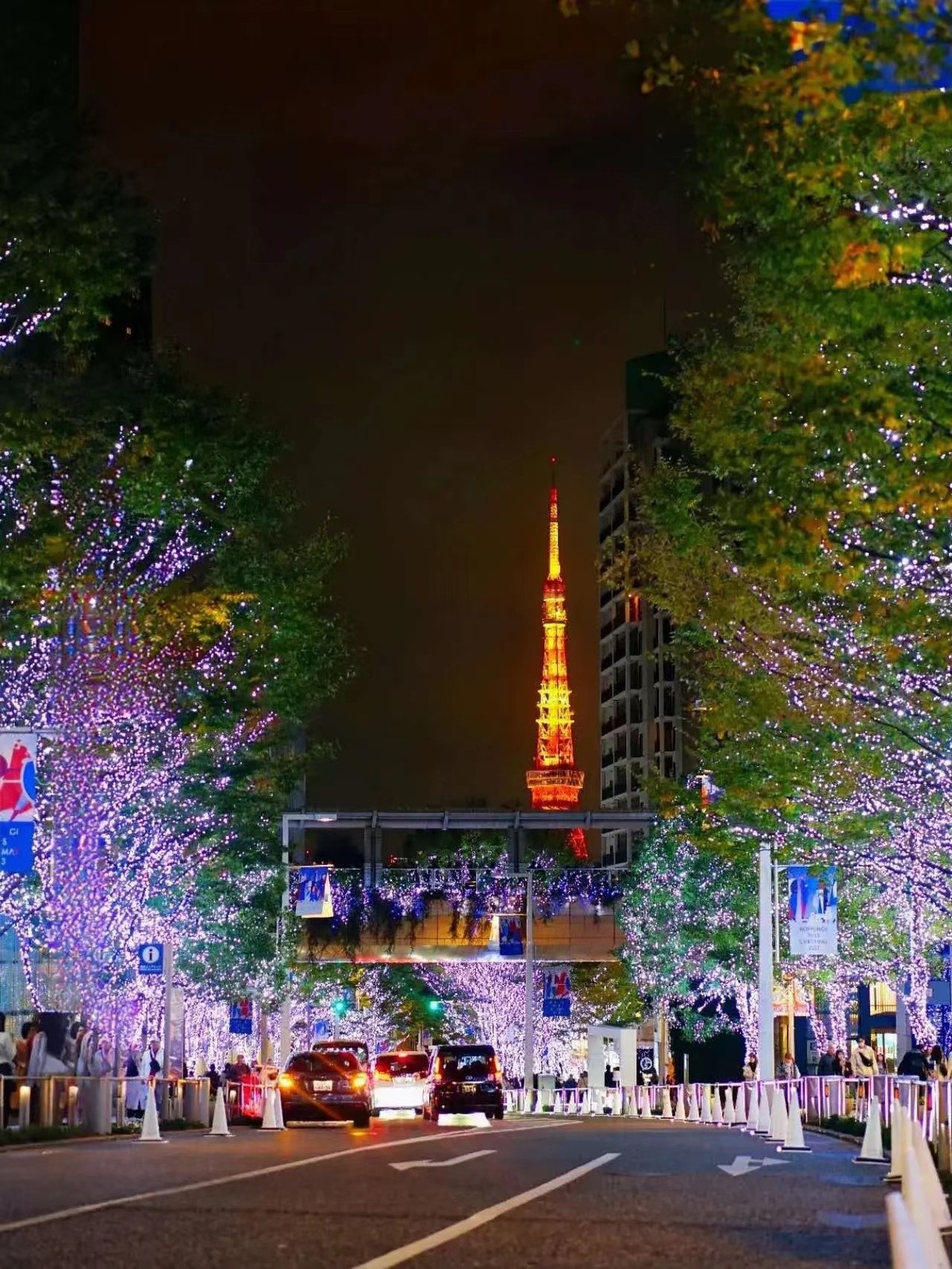 2023-11-18  地球是一本书，若不到处走走，你看到的总会是同一页