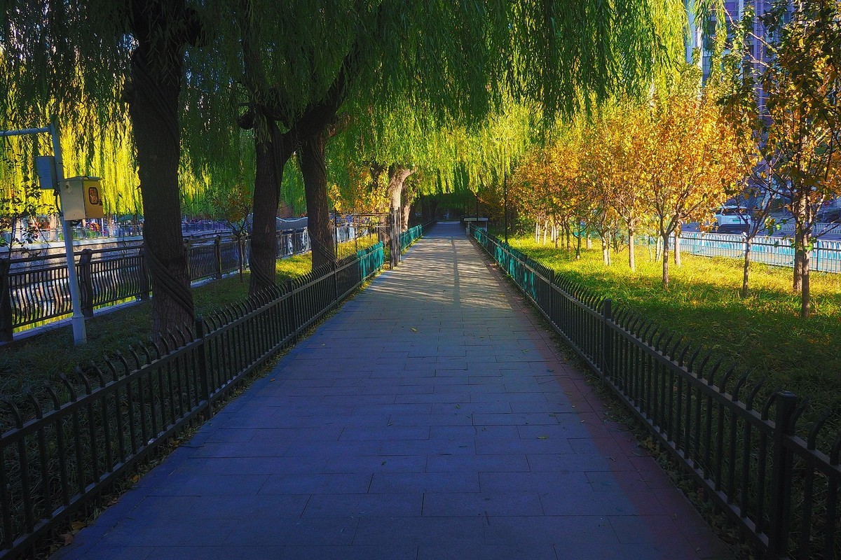 冬日·民心河畔