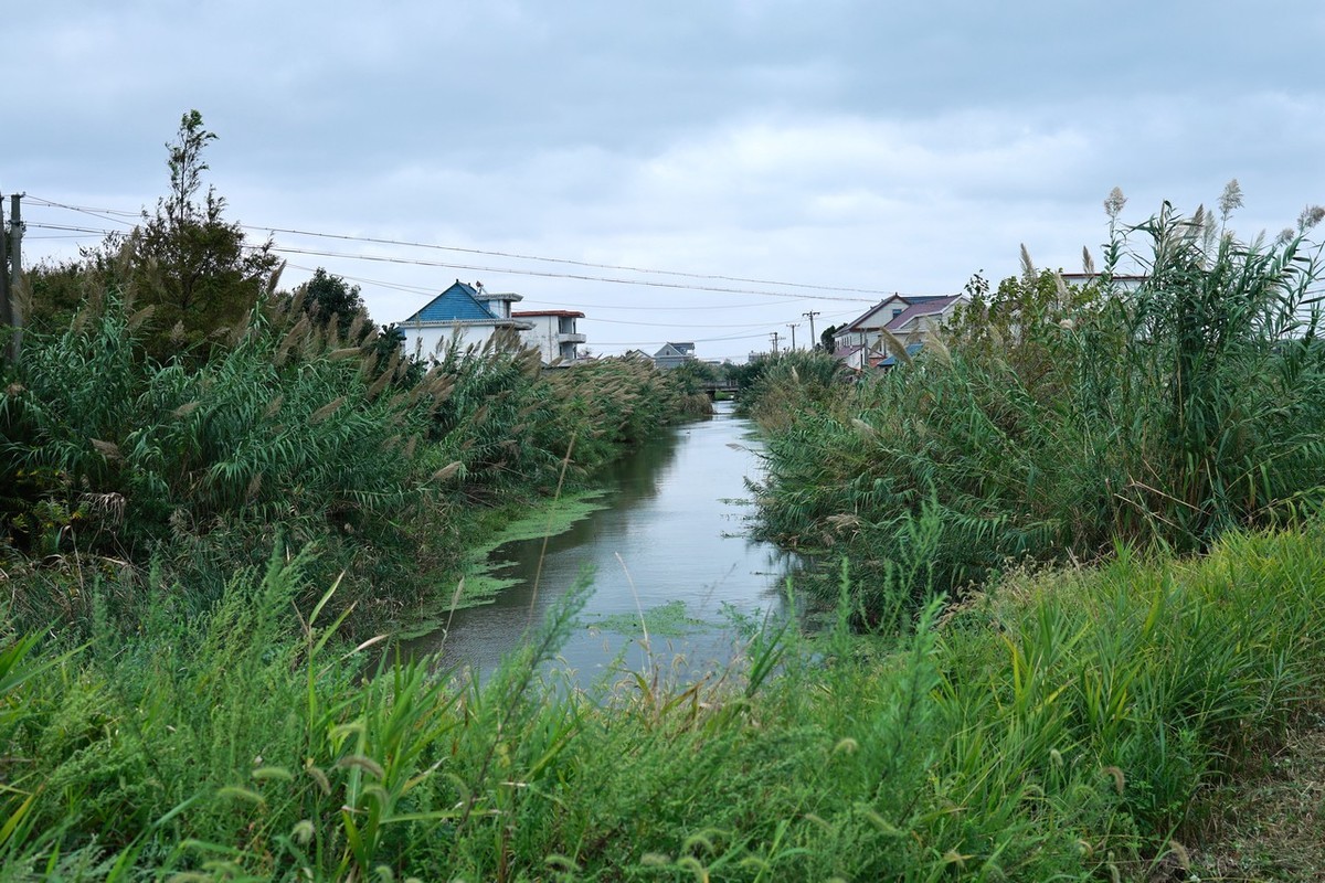 乡村随手拍 ------ 1