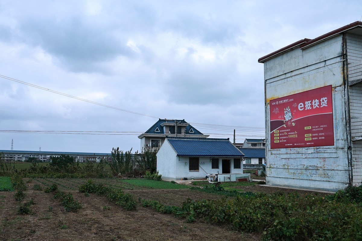 乡村随手拍 ------ 1