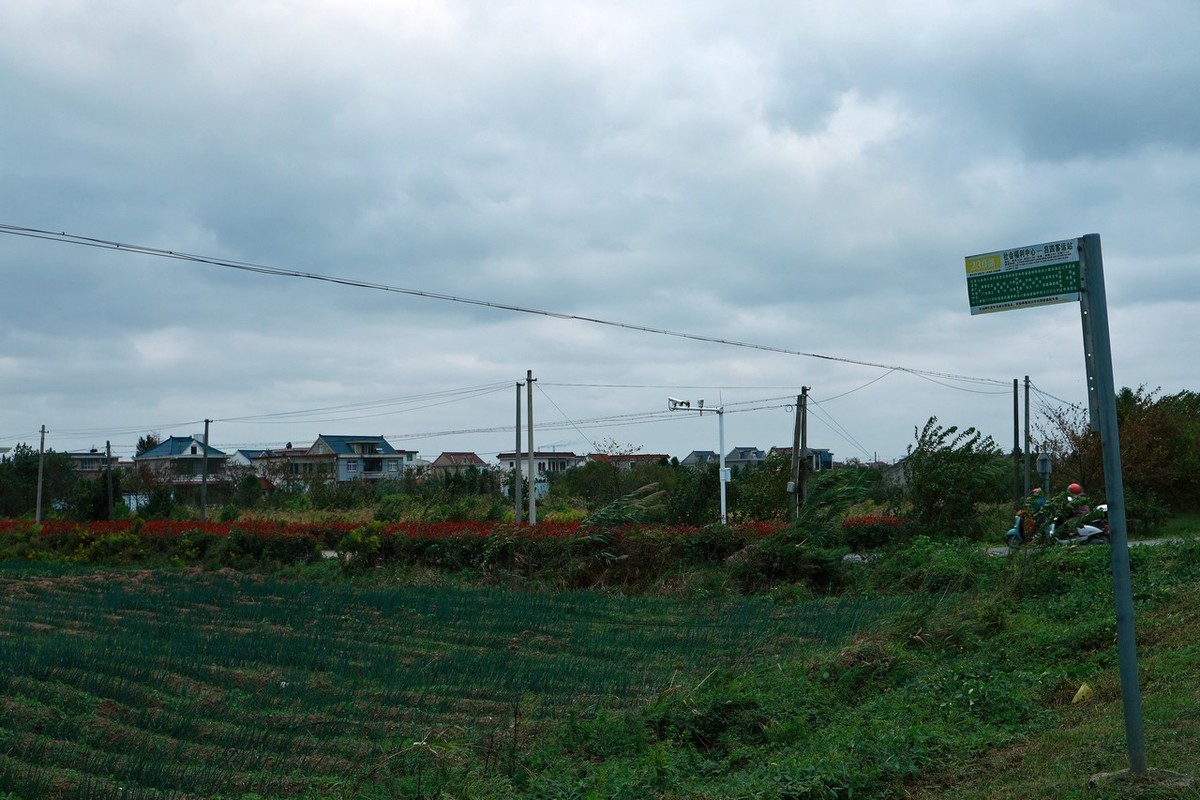 乡村随手拍 ------ 1