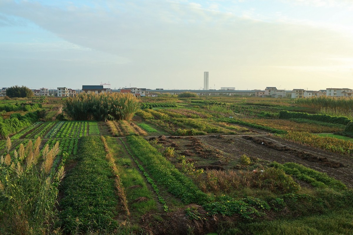 乡村随手拍 ------ 1