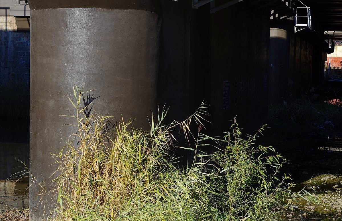 冬日的公园静悄悄