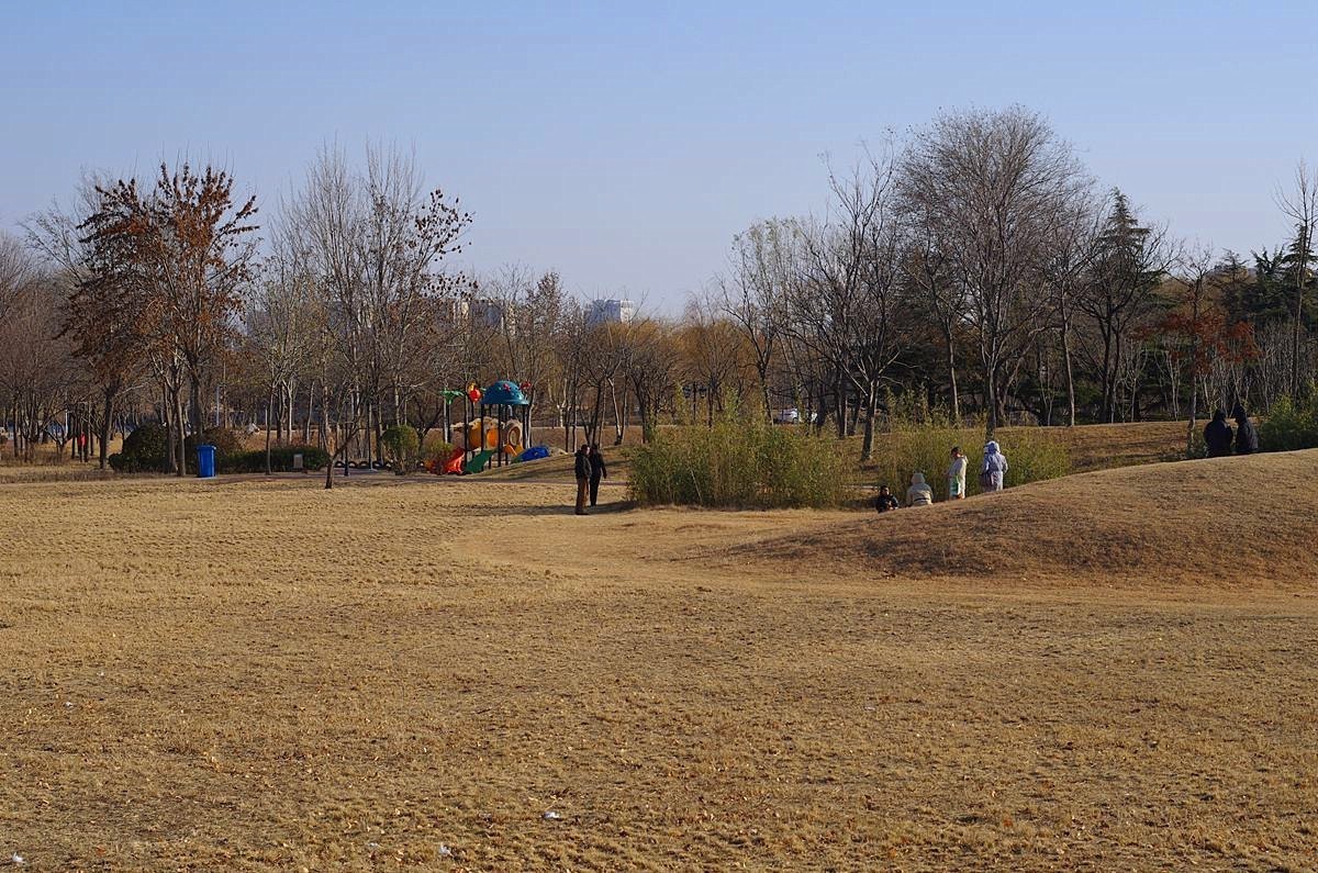 冬日的公园静悄悄