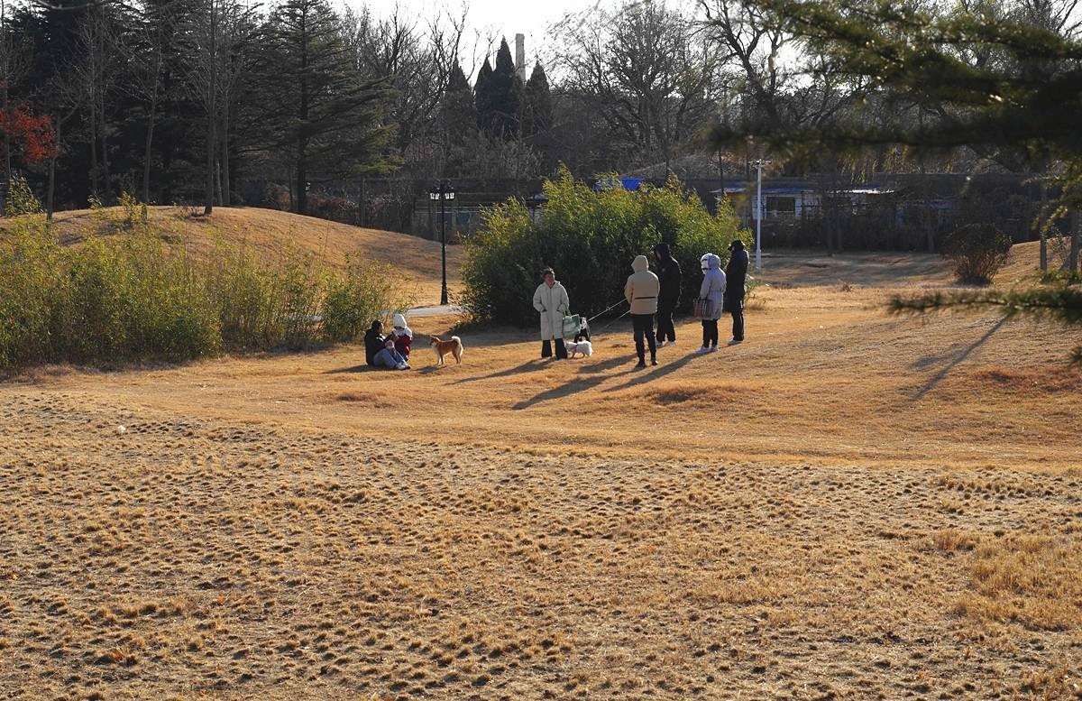 冬日的公园静悄悄