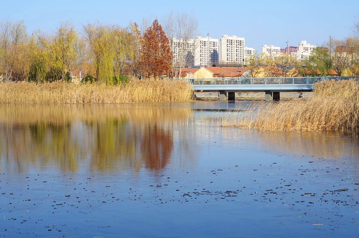 冬日的公园静悄悄