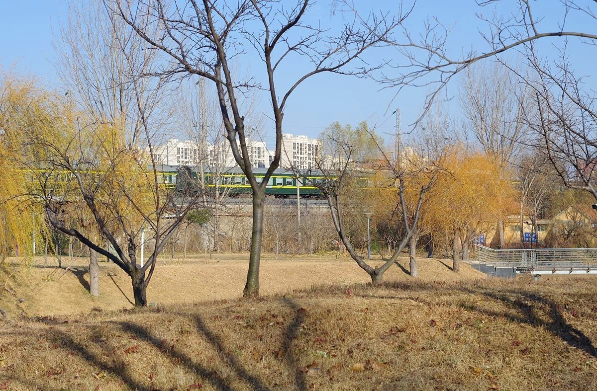 冬日的公园静悄悄