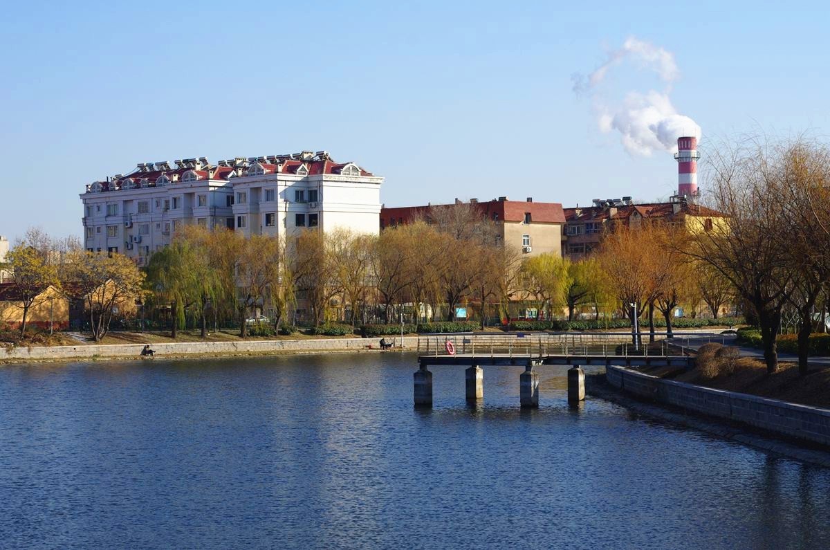 冬日的公园静悄悄