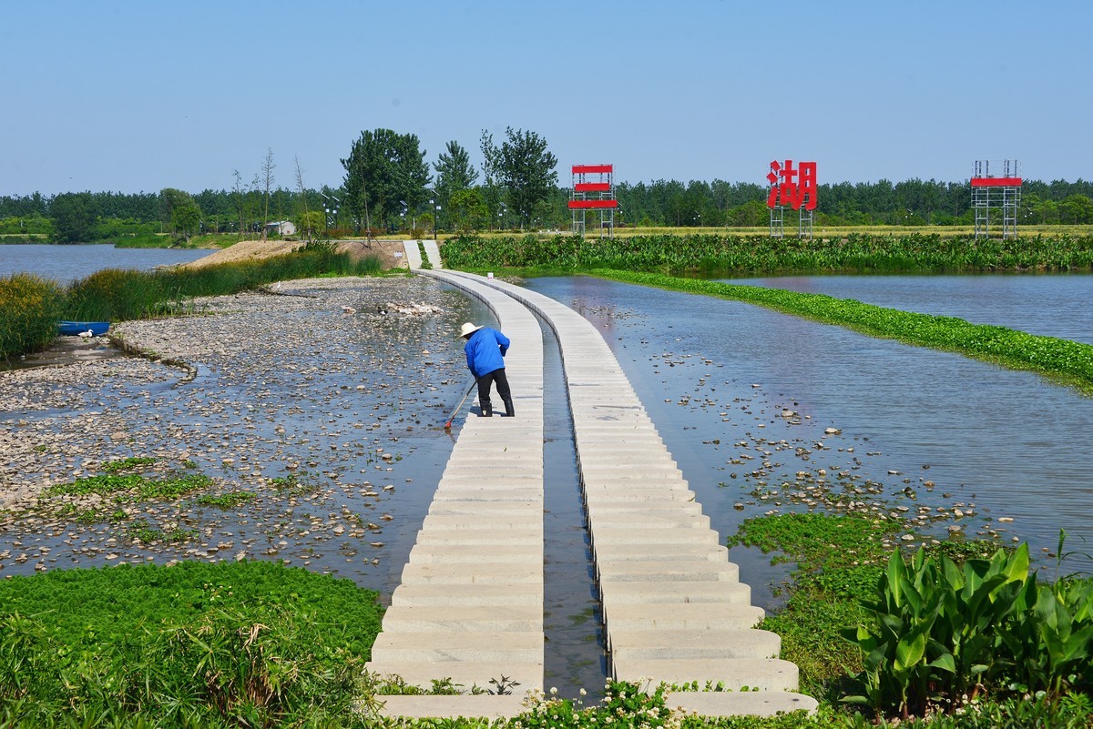 三湖一坝生态湿地公园