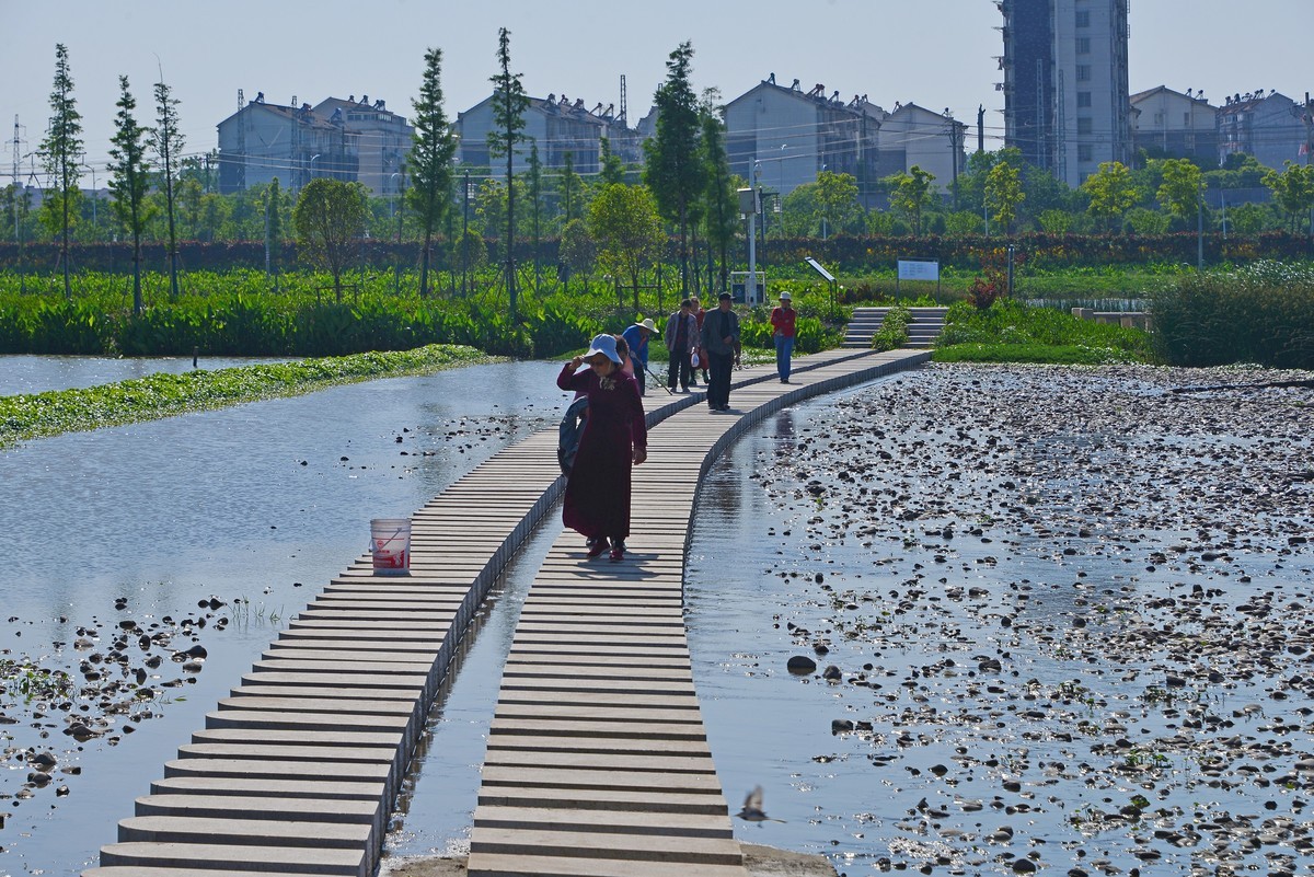 三湖一坝生态湿地公园