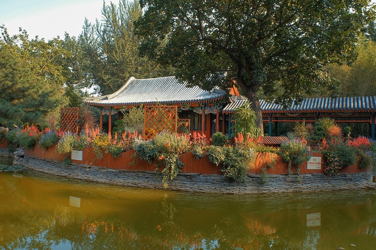 宣武艺园中的景观