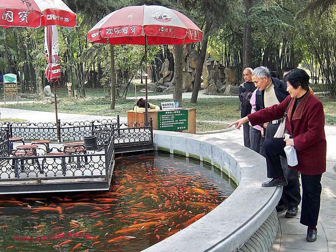 古巴空军学员的中国空军12航校教员周生敬2004年在望江公园。柯达d6340