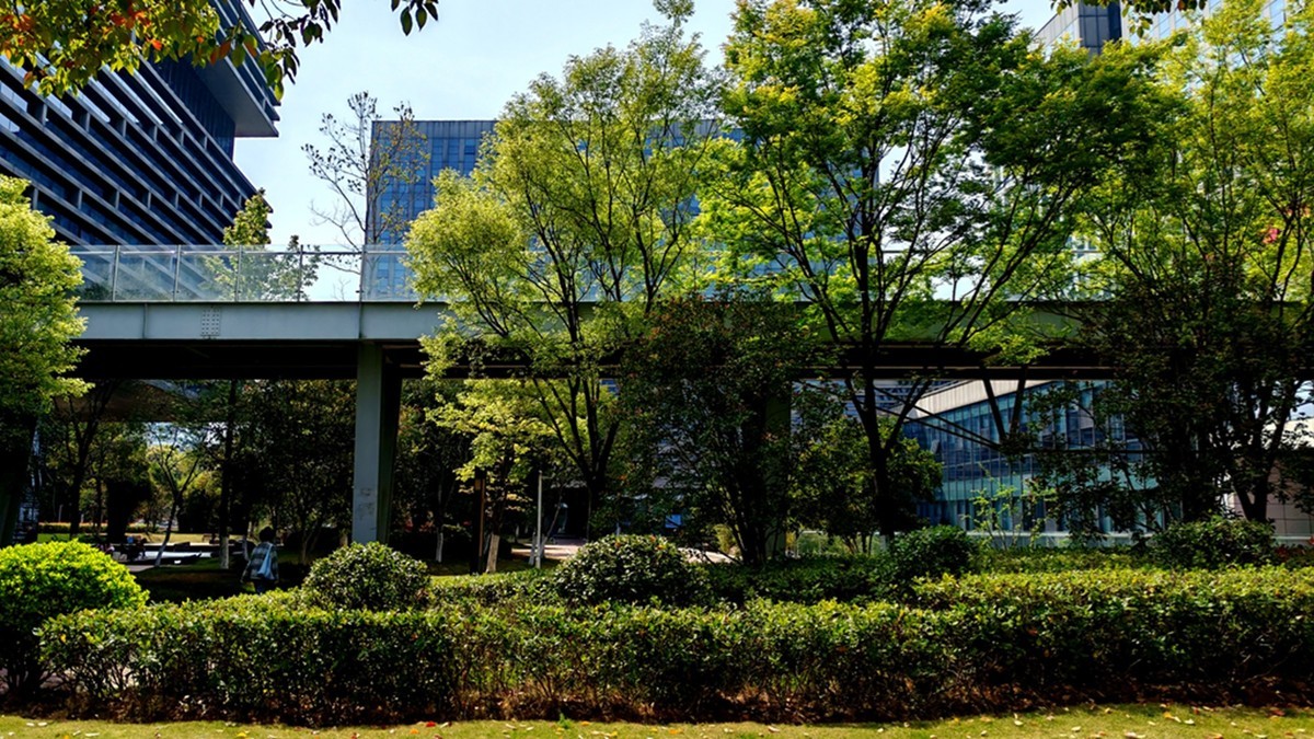 春天的中江公园