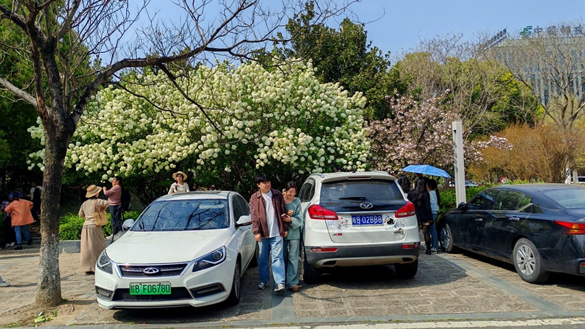 春天的中江公园