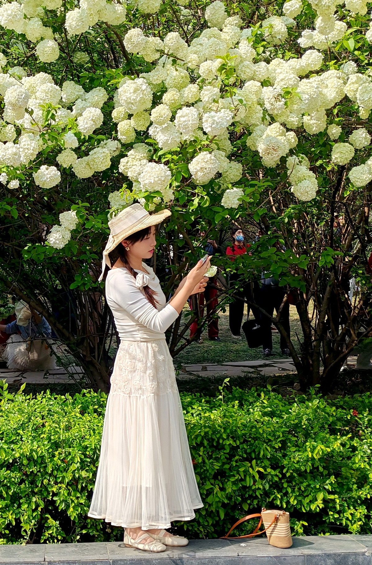 春天的中江公园