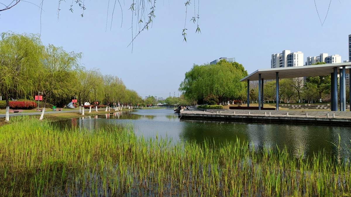 春天的中江公园