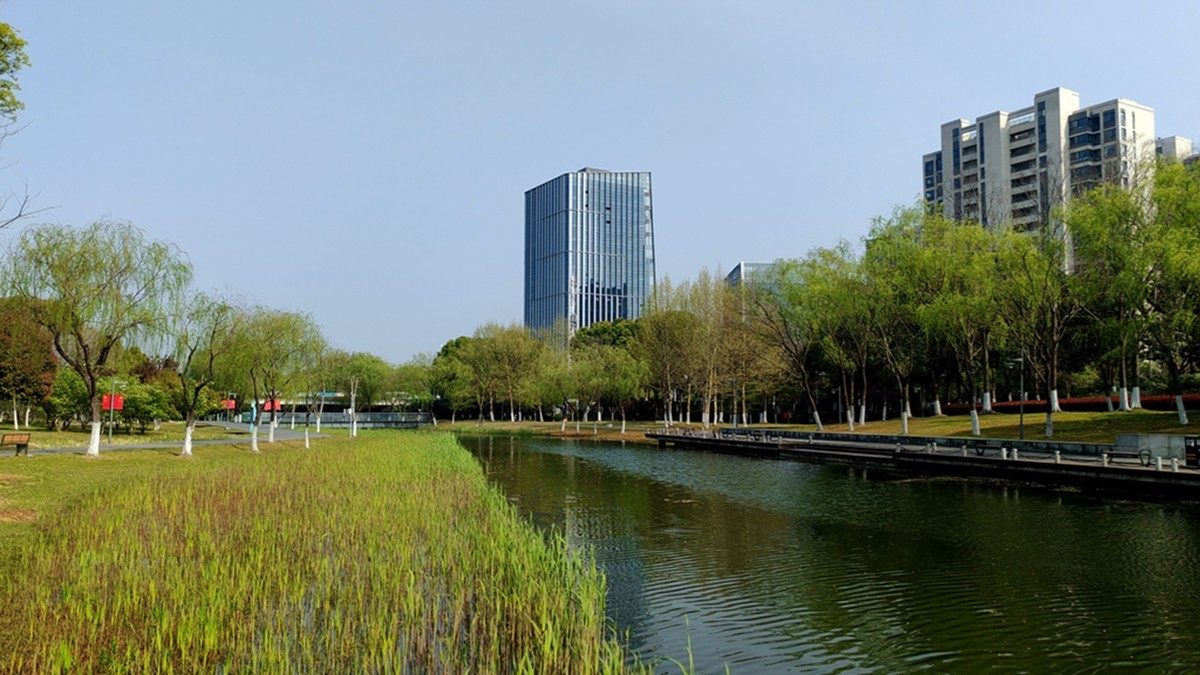 春天的中江公园