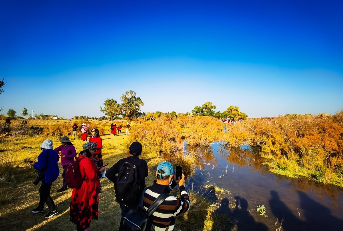 酒泉弱水胡扬林掠影