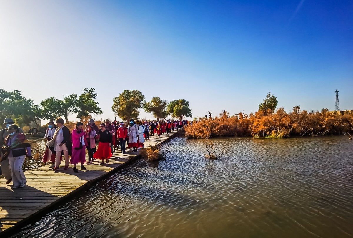 酒泉弱水胡扬林掠影