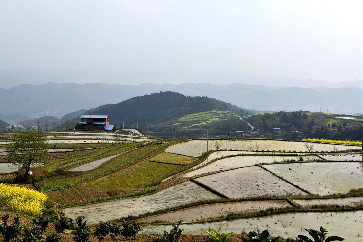 涂井乡万顺村2