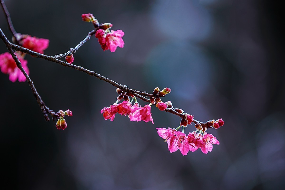 #版主坐堂#小五星空(中国)2022年5月精品荟萃