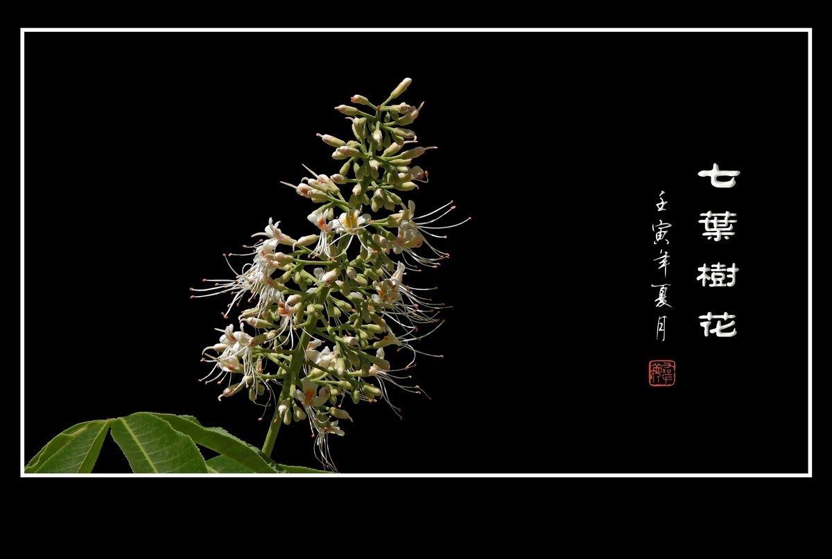 #版主坐堂#小五星空(中国)2022年5月精品荟萃