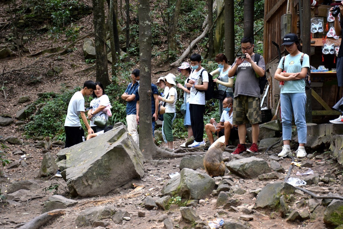 2022夏 湘赣边（67）“三女峰”左“猴子坡”