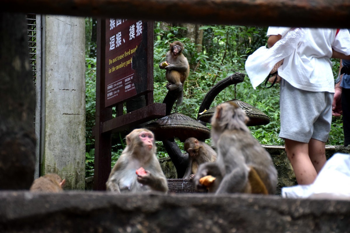 2022夏 湘赣边（67）“三女峰”左“猴子坡”