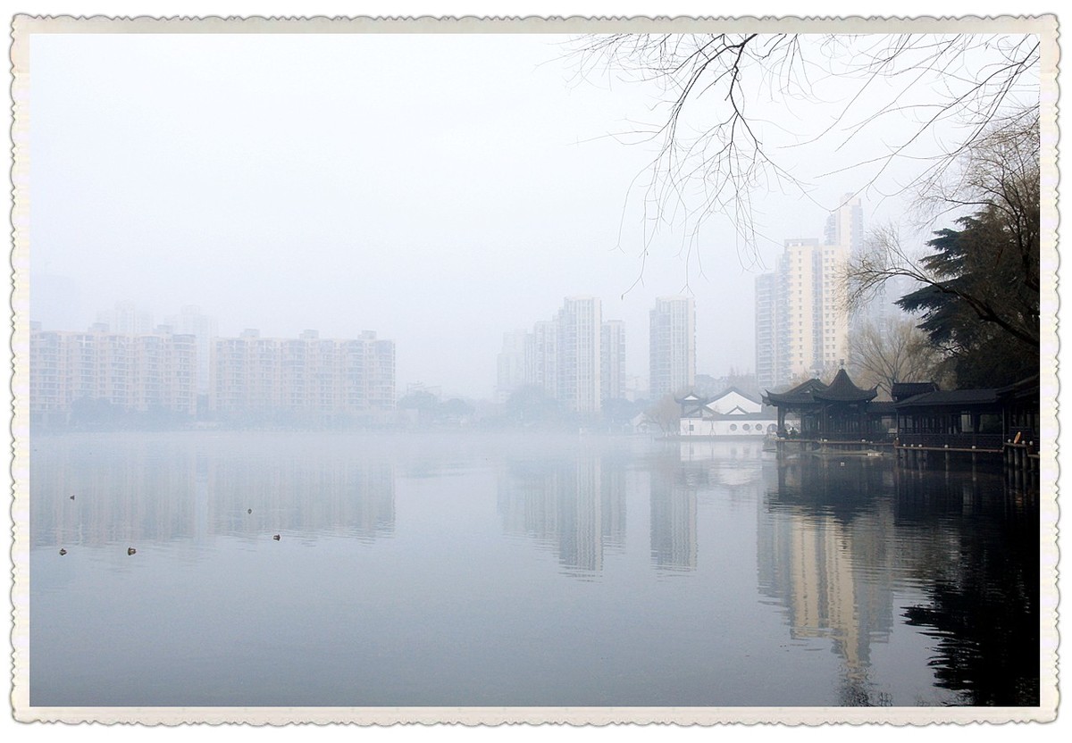 今年冬天第一场大雾