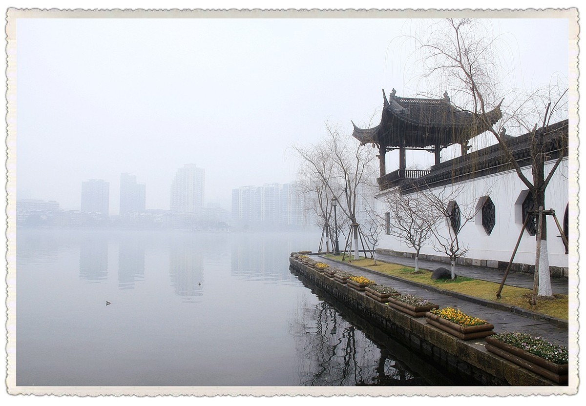 今年冬天第一场大雾