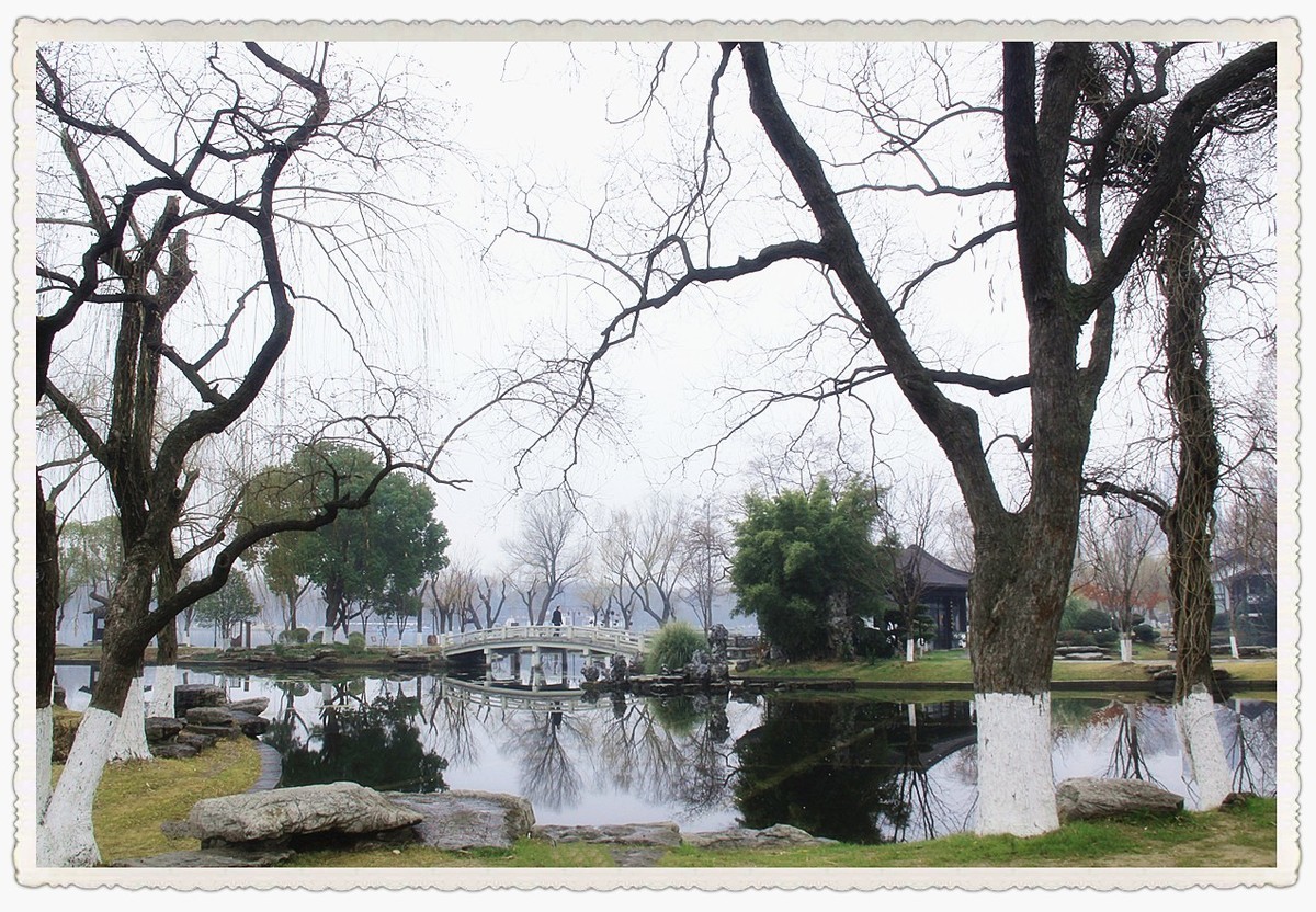 今年冬天第一场大雾