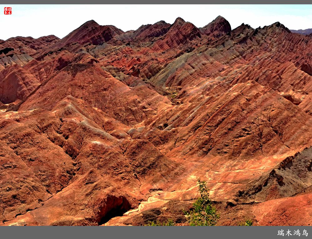 【甘青大环线】8.打翻了调色板的七彩丹霞张掖国家地质公园