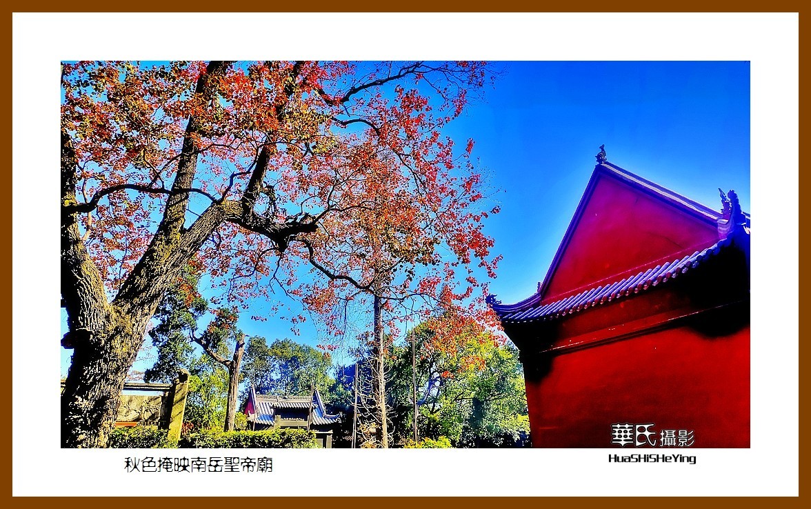 2021南行慢游（湖南115）——秋色掩映南岳圣帝庙（衡阳市衡山）