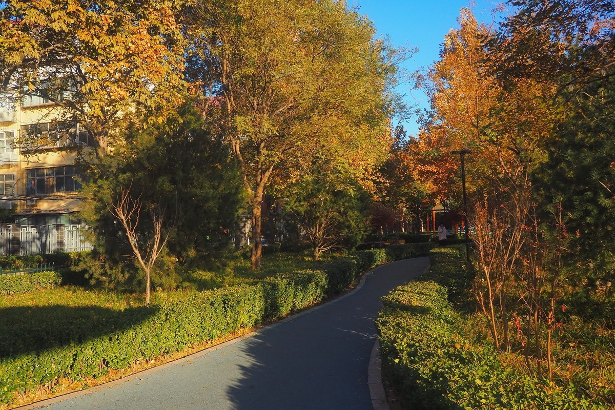 冬日·民心河畔