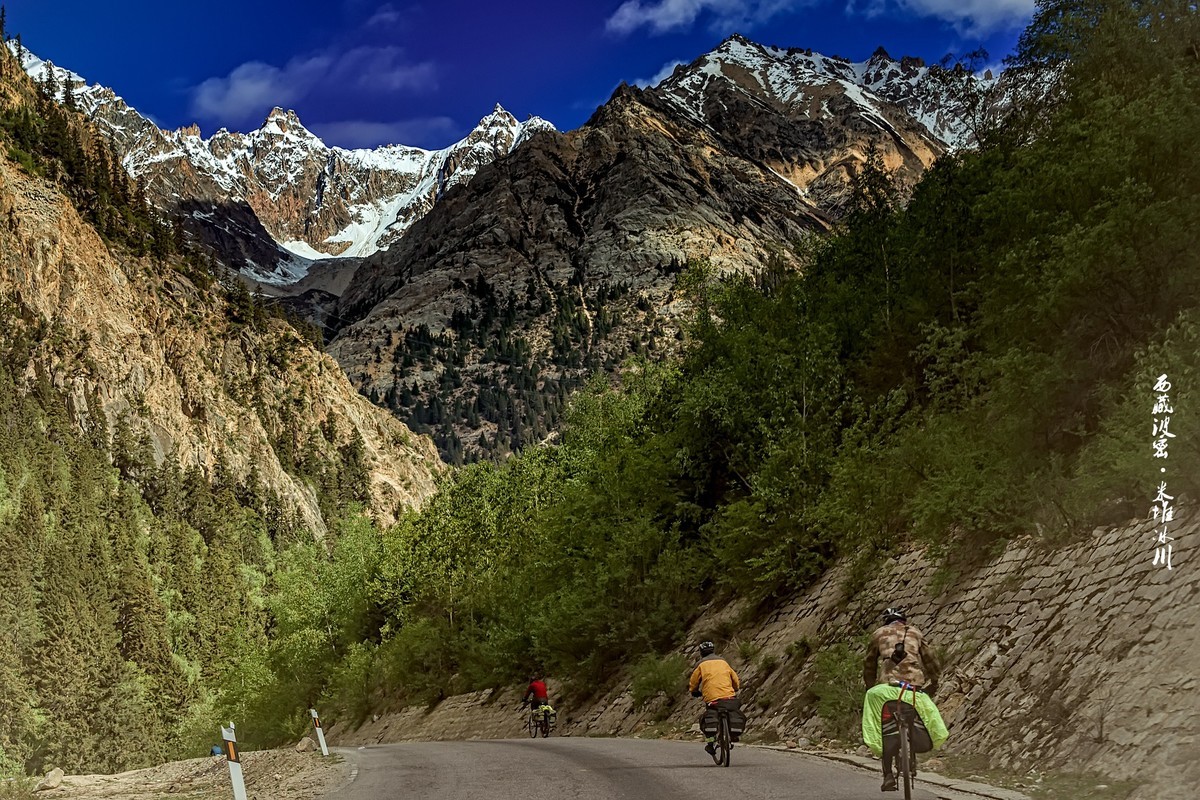 林芝波密 · 米堆冰川